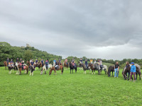 Recherche Moniteur/Monitrice d'�quitation pour remplacement